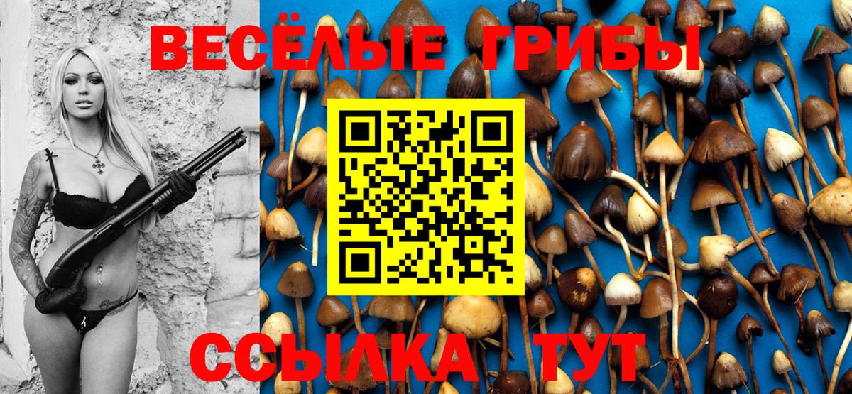 Галлюциногенные грибы ЛСД Белово