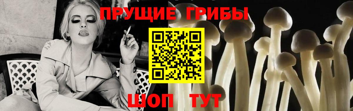 Галлюциногенные грибы Cubensis  Вход с VPN  Белово 
